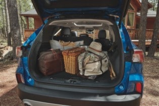 2021 Ford Escape SE Sport